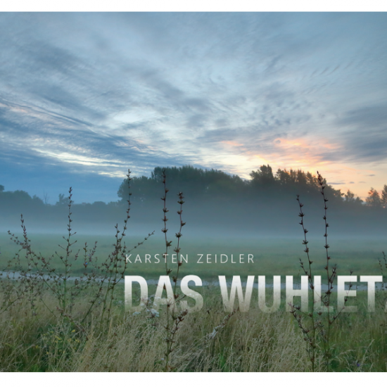 Das Wuhletal - Buchcover